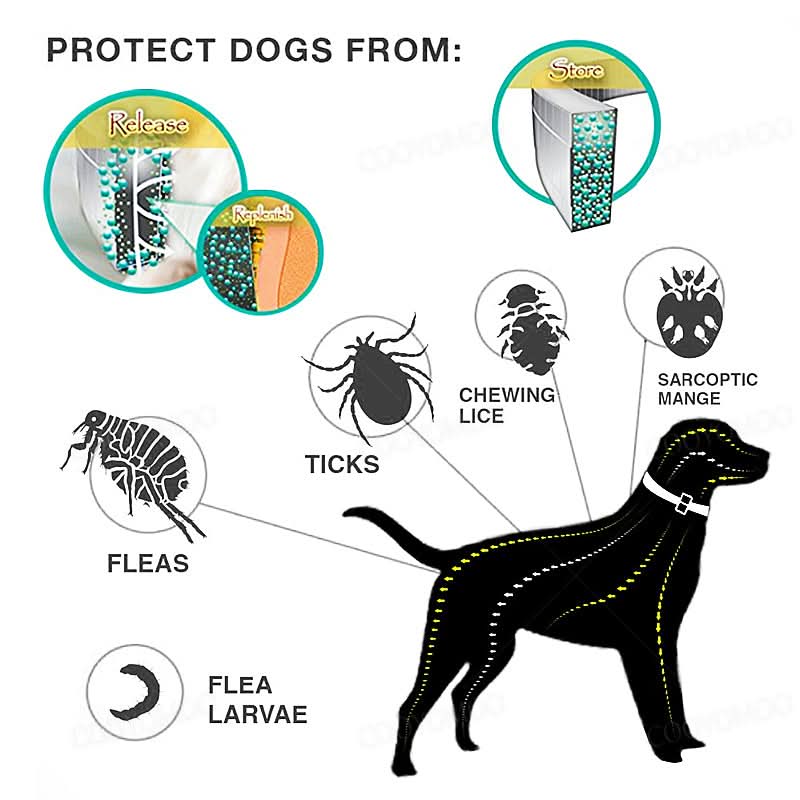 Anti-Tick and Flea Collar