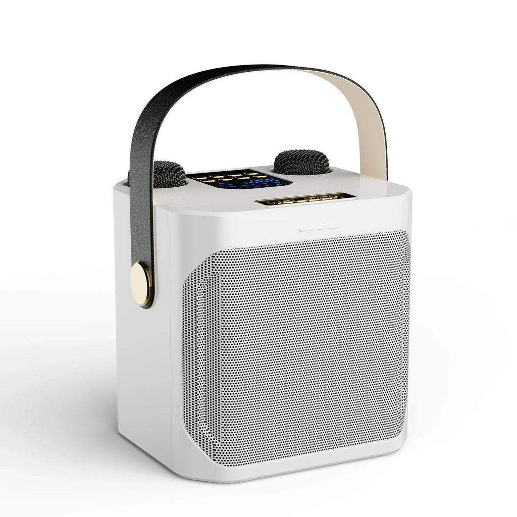 High-Performance Portable Karaoke Bluetooth Speaker – 360° Stereo Surround Wireless Subwoofer with Dual Microphones