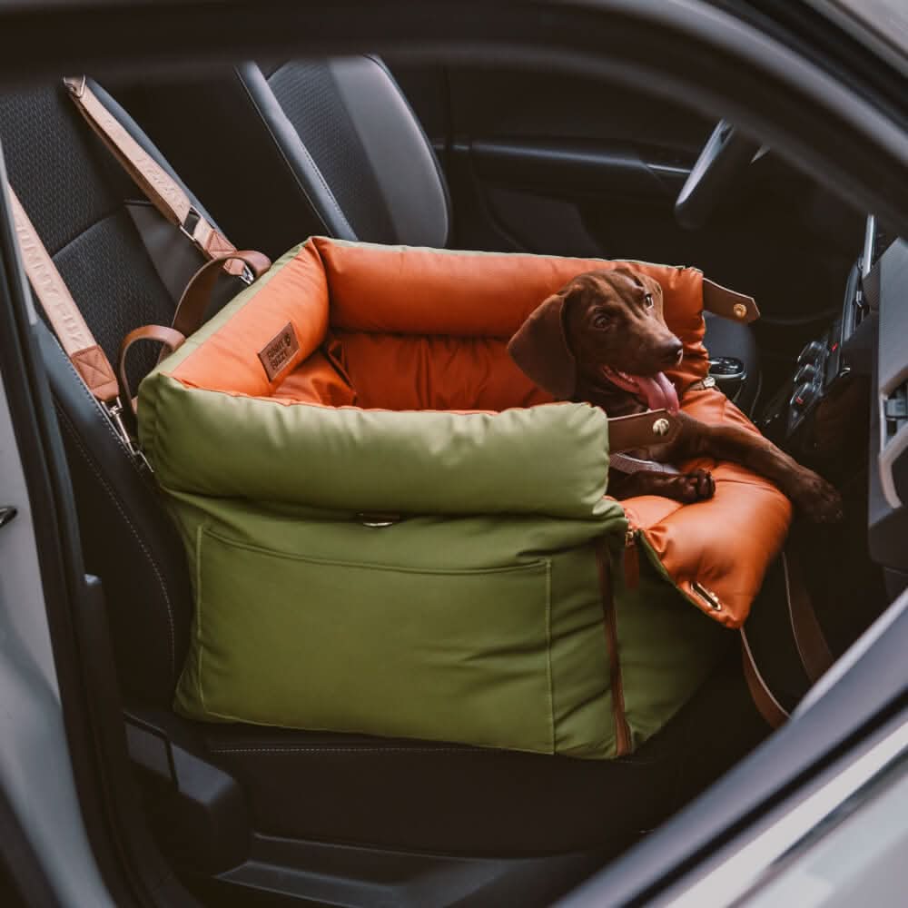 Luxury Dog Car Seat with Safety Belt for Stylish Rides