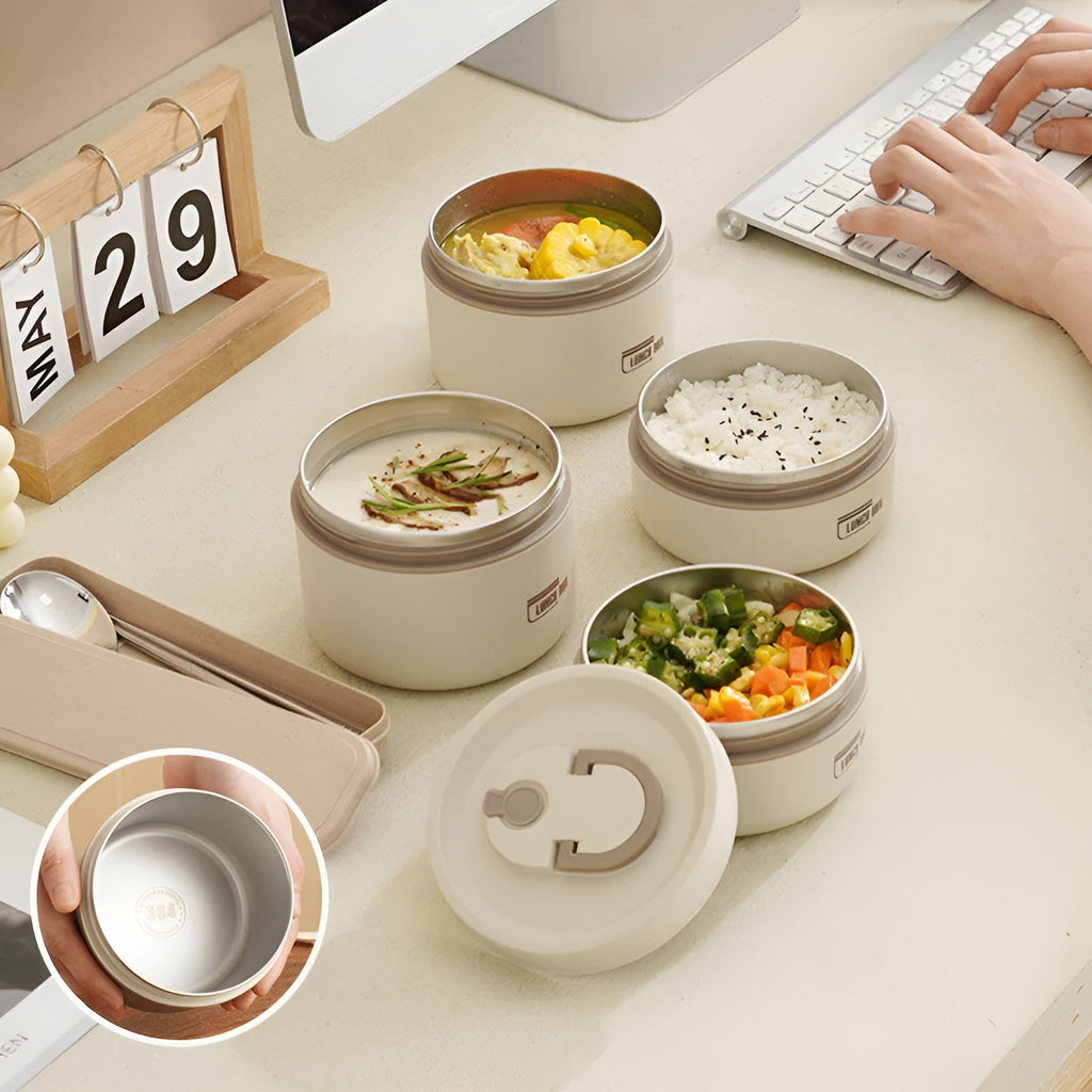 Insulated Lunch Box with Multi-Layer Compartments & Leak-Proof Design | Comes with Carry Bag
