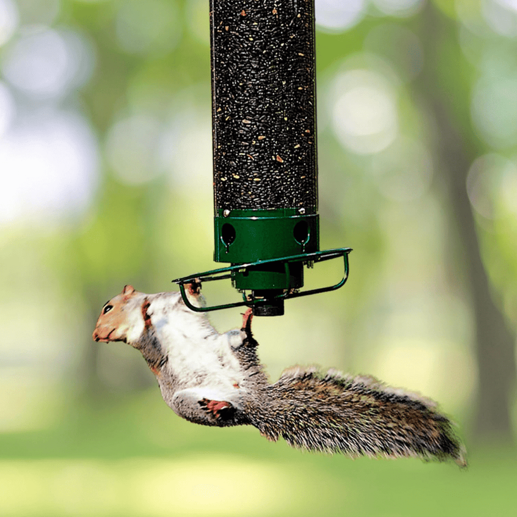 Squirrel-Proof Birdhouse with Rotating Perch and 4 Feeding Openings
