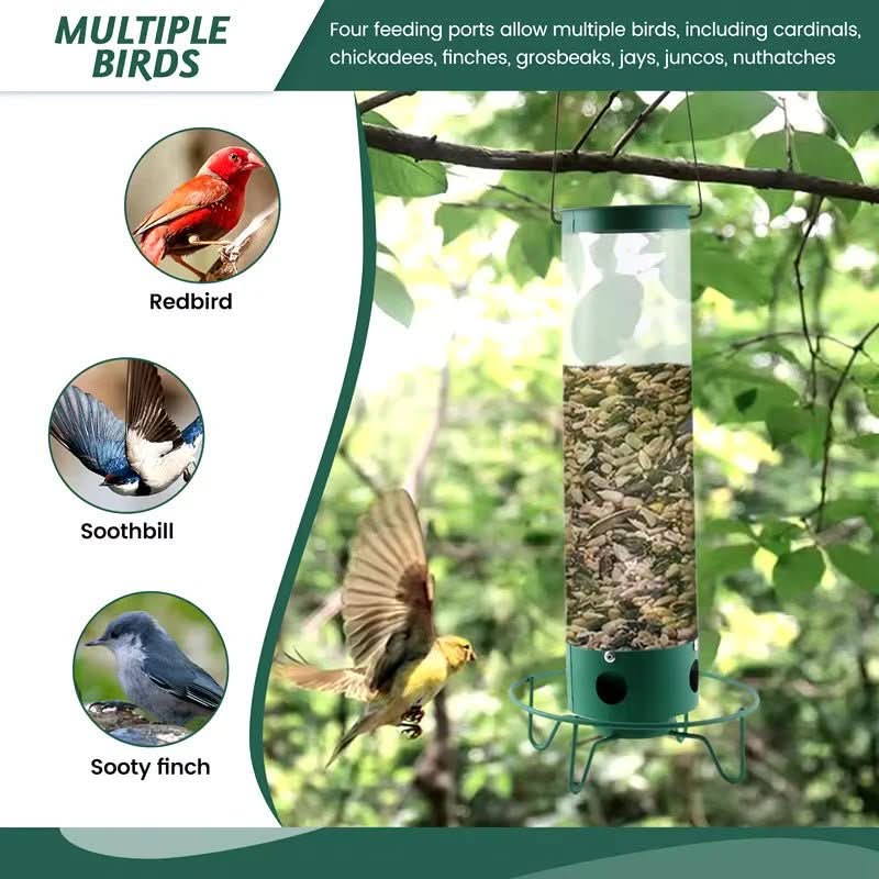 Squirrel-Proof Birdhouse with Rotating Perch and 4 Feeding Openings