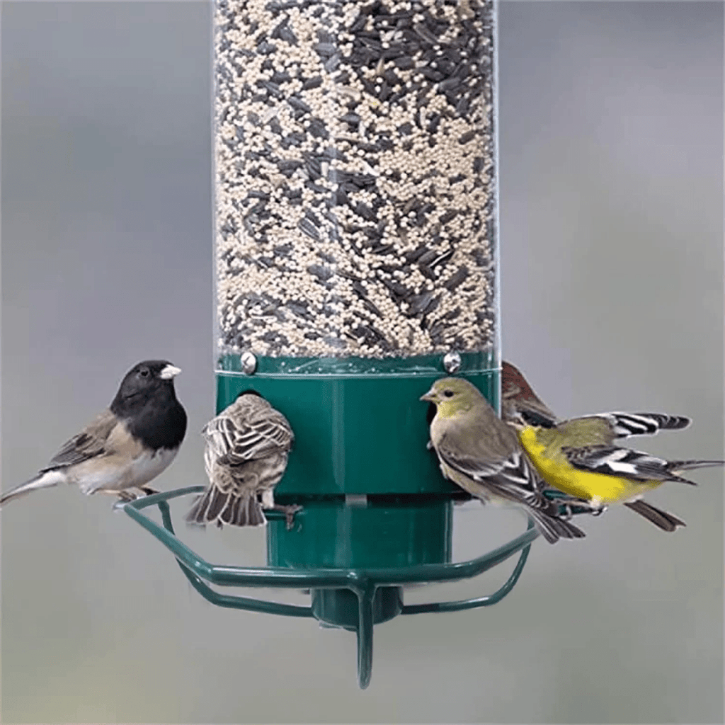 Squirrel-Proof Birdhouse with Rotating Perch and 4 Feeding Openings