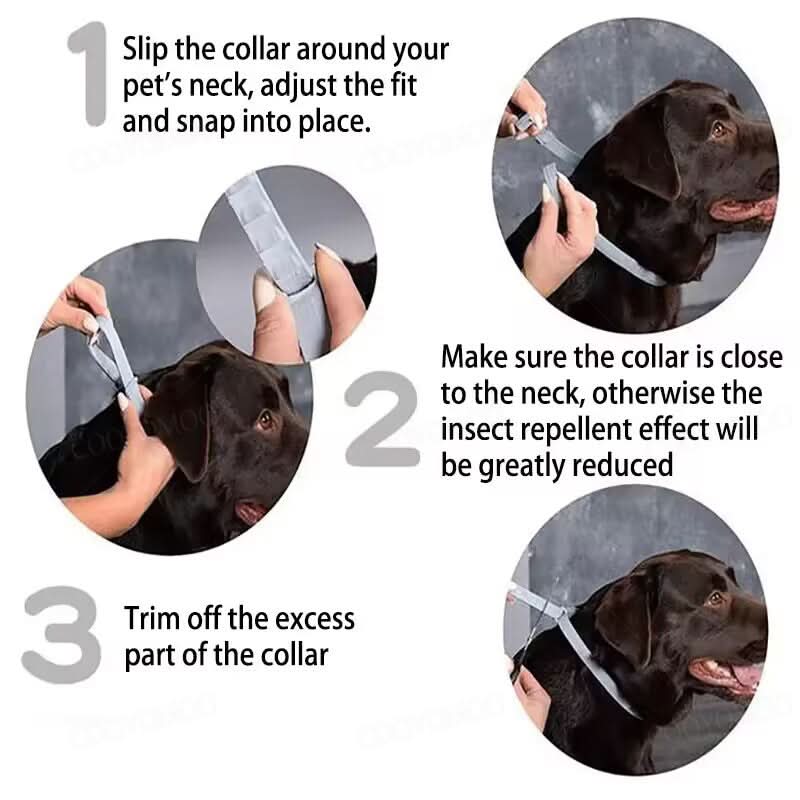 Anti-Tick and Flea Collar