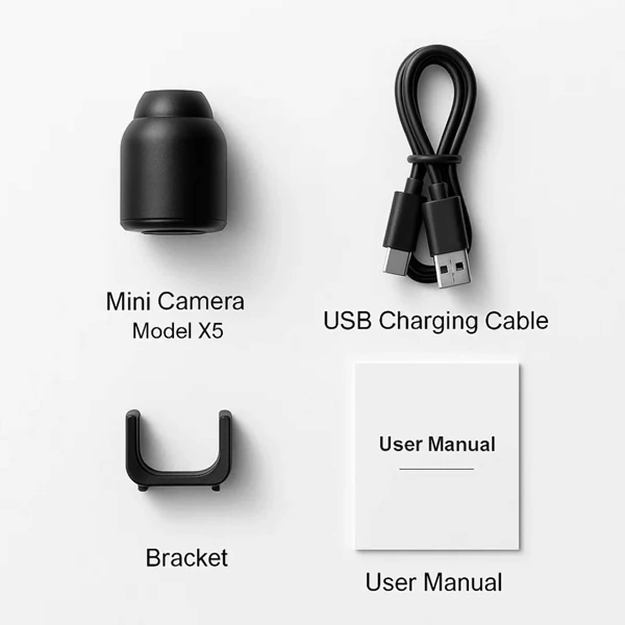 Wireless Nanny Surveillance Camera with Audio