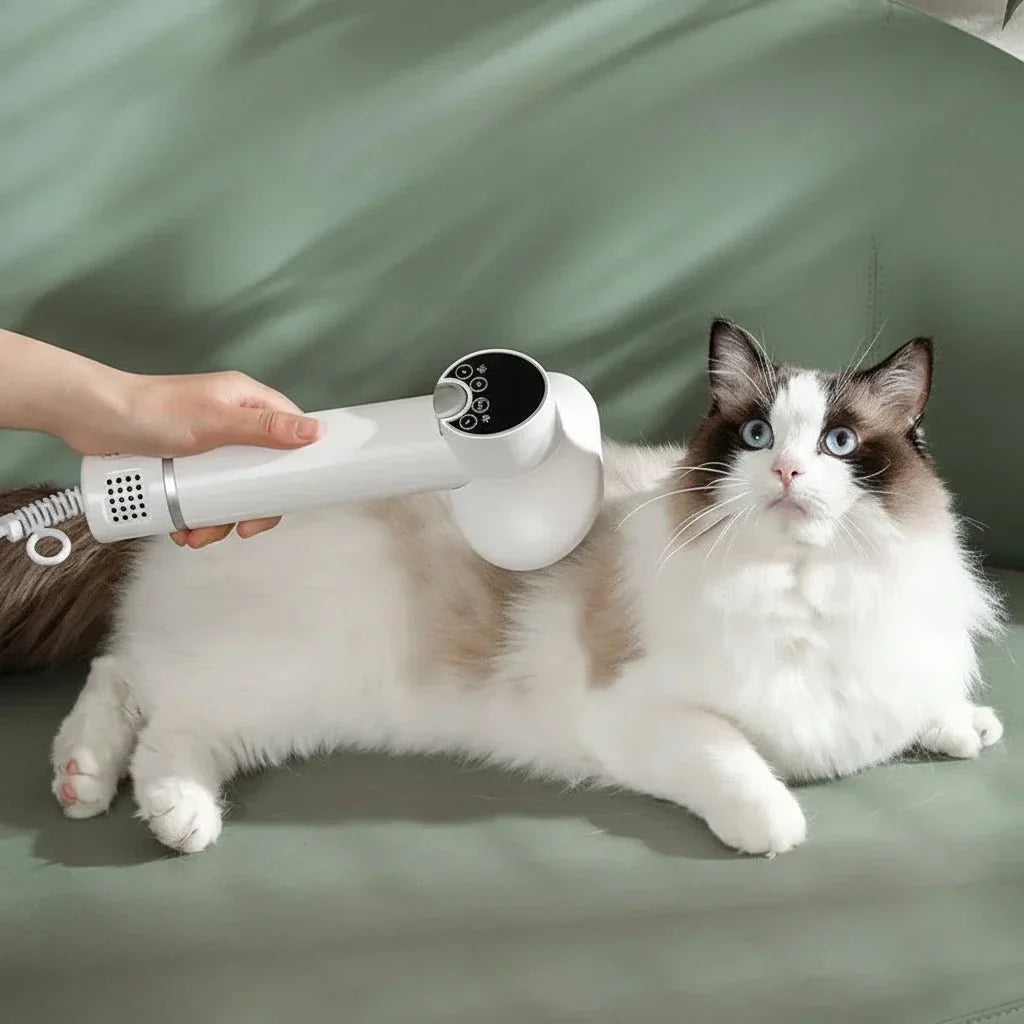 Ion Technology Hair Dryer for Pets