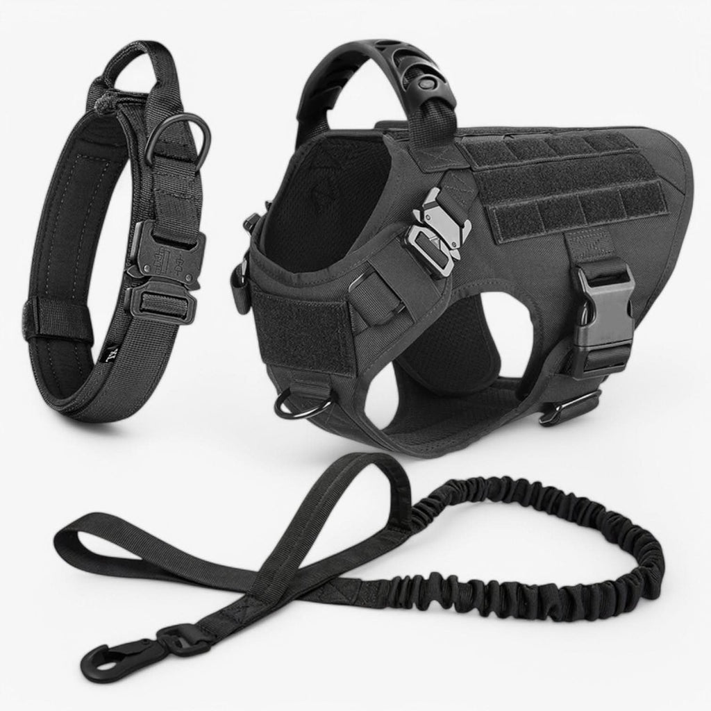 Durable Dog Harness for Optimal Control and Comfort
