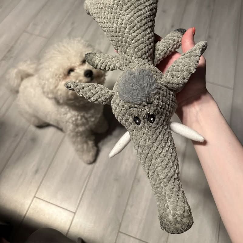 Durable Chew Toy for Small and Large Dogs