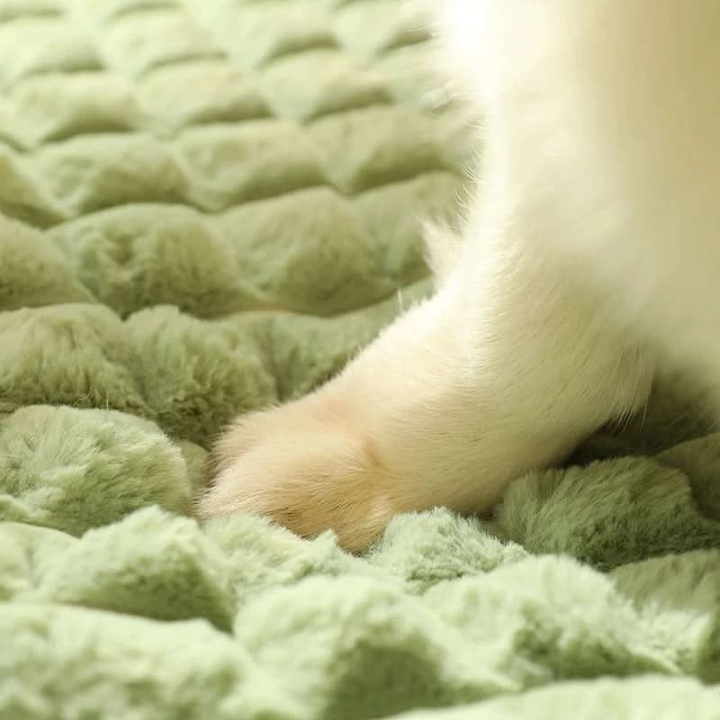 Washable Soft Dog Bed