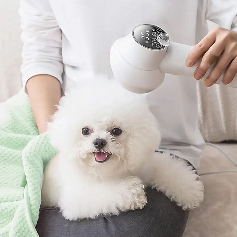 Ion Technology Hair Dryer for Pets
