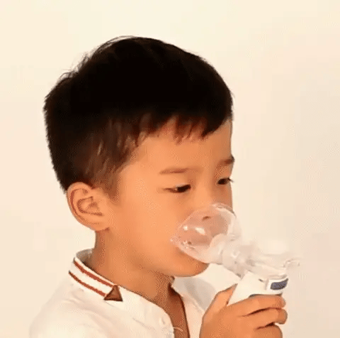 Rechargeable Portable Ultrasonic Nebulizer