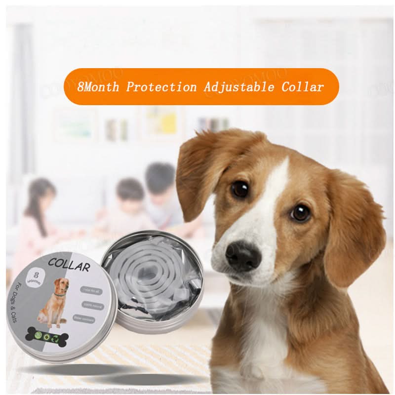 Anti-Tick and Flea Collar