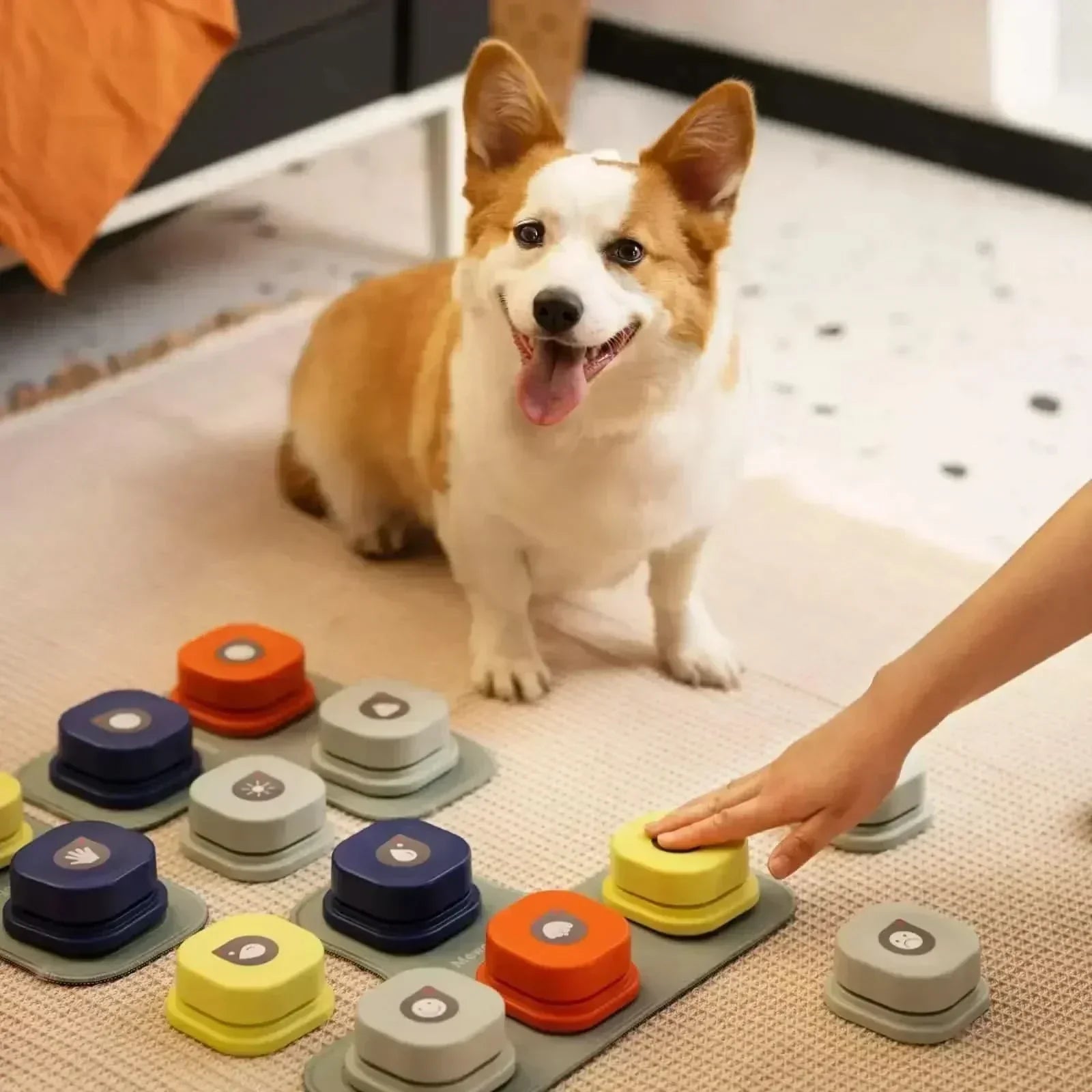 Interactive Speech Buttons for Playful Dog Communication
